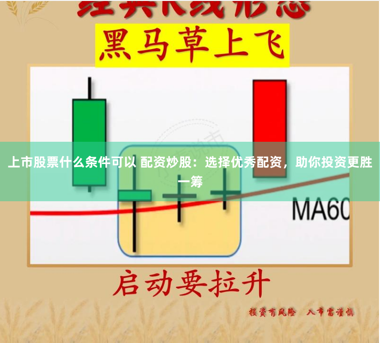 上市股票什么条件可以 配资炒股：选择优秀配资，助你投资更胜一筹